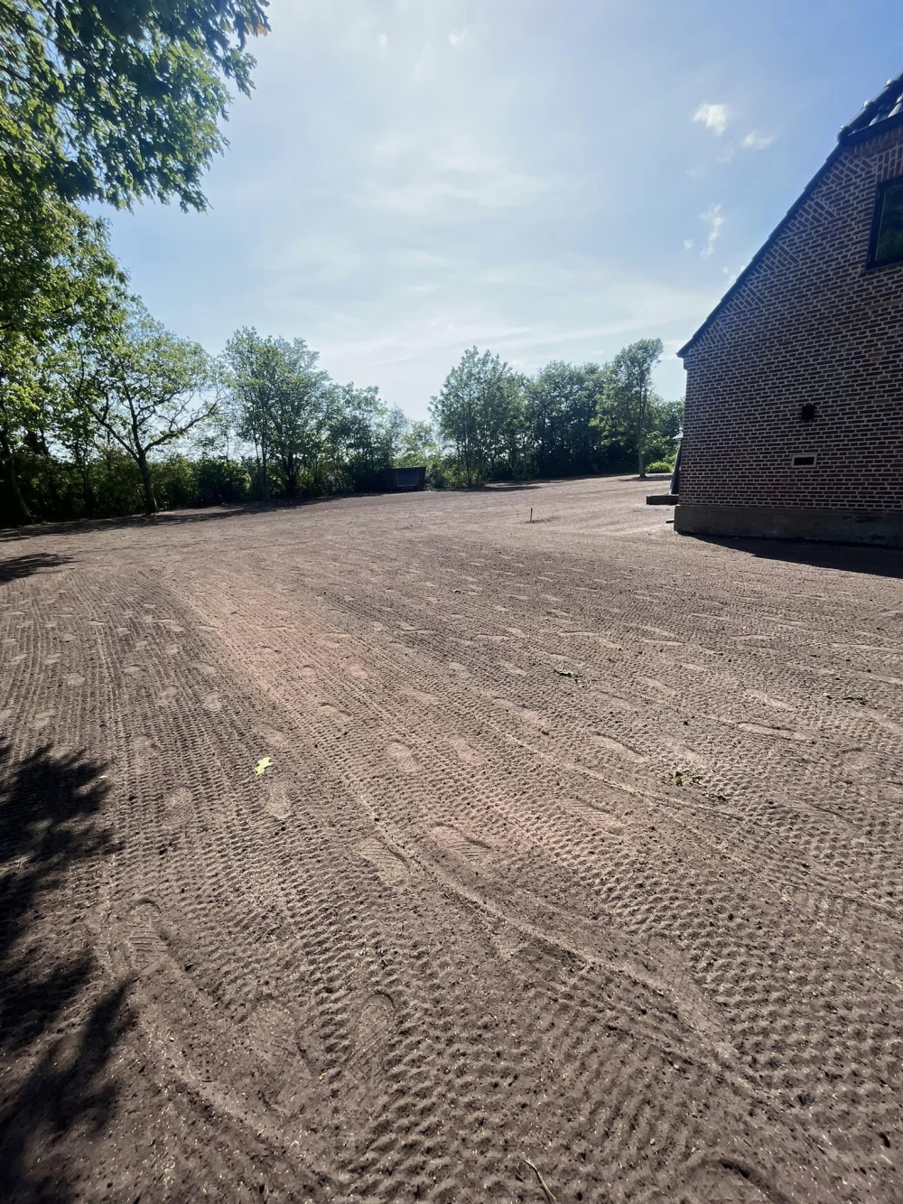 anlægning af græsplæne