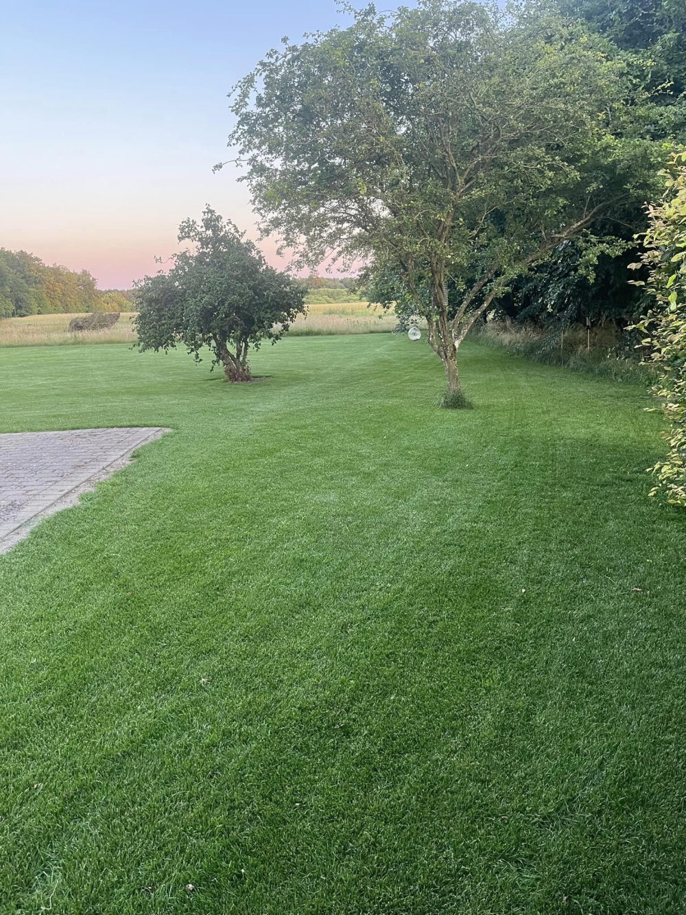 anlægning af græsplæne