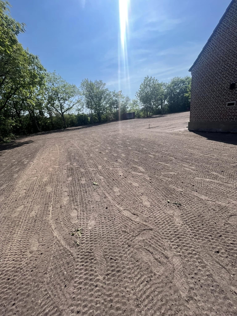 anlægning af græsplæne